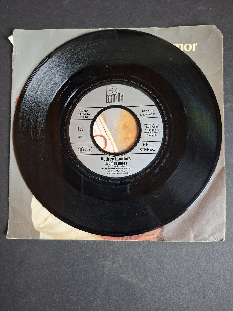 Audrey Landers & Camilo Sesto – Mi Amor