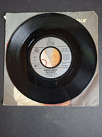 Audrey Landers & Camilo Sesto – Mi Amor