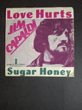 Jim Capaldi – Love Hurts