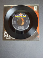 Maurice Jarre – Schiwago-Melodie (Lara's Theme)