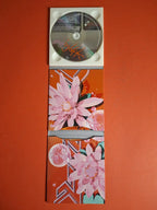 Björk – Post