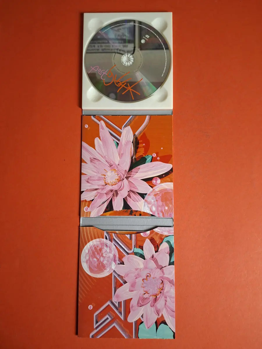 Björk – Post