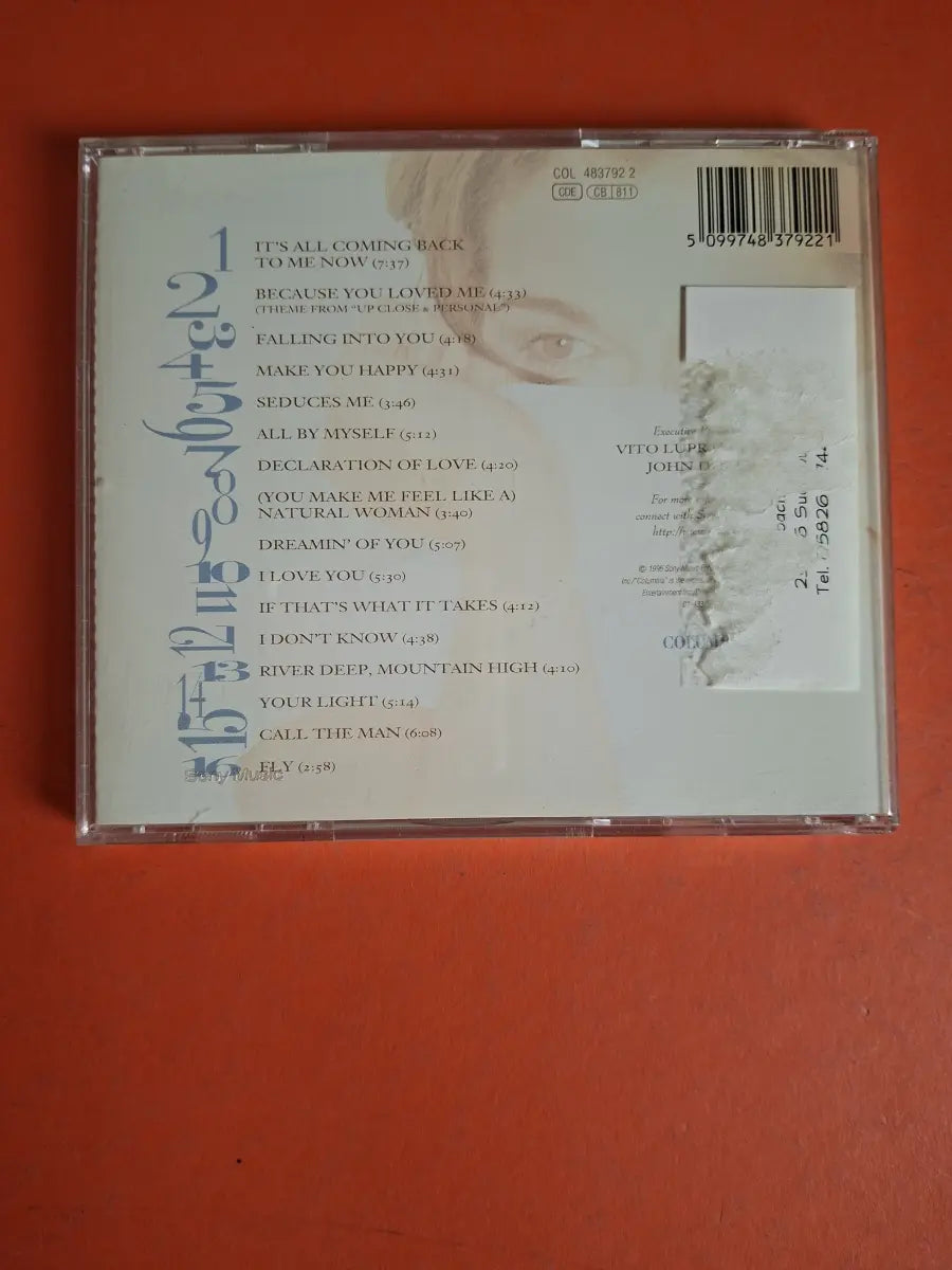 Celine Dion – Falling Into You