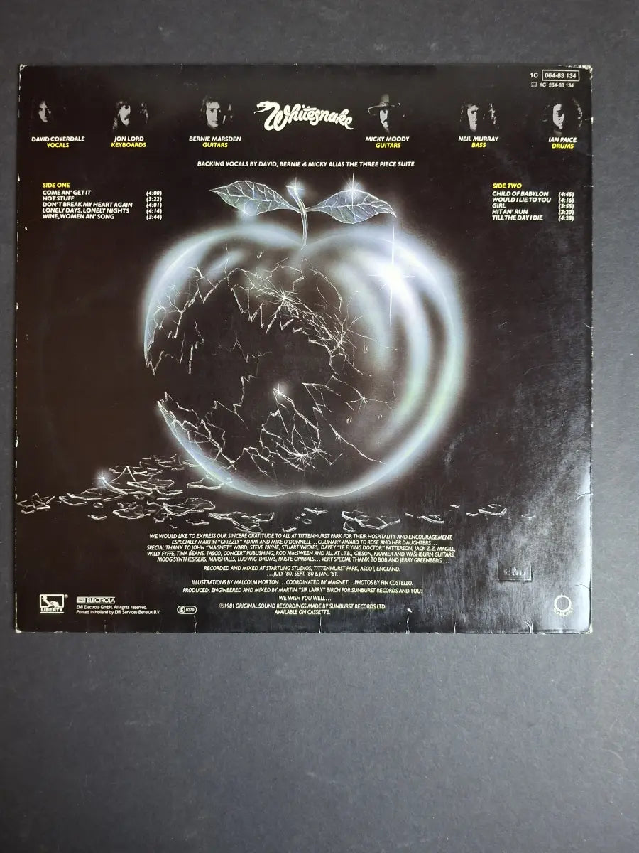 Whitesnake – Come An' Get It