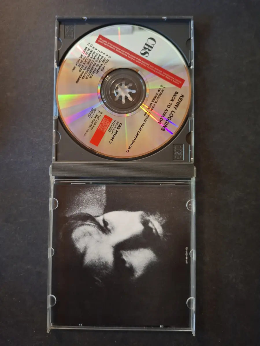 Kenny Loggins – Back To Avalon