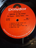 Ted Nugent And The Amboy Dukes – Survival Of The Fittest - Live