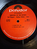 Ted Nugent And The Amboy Dukes – Survival Of The Fittest - Live