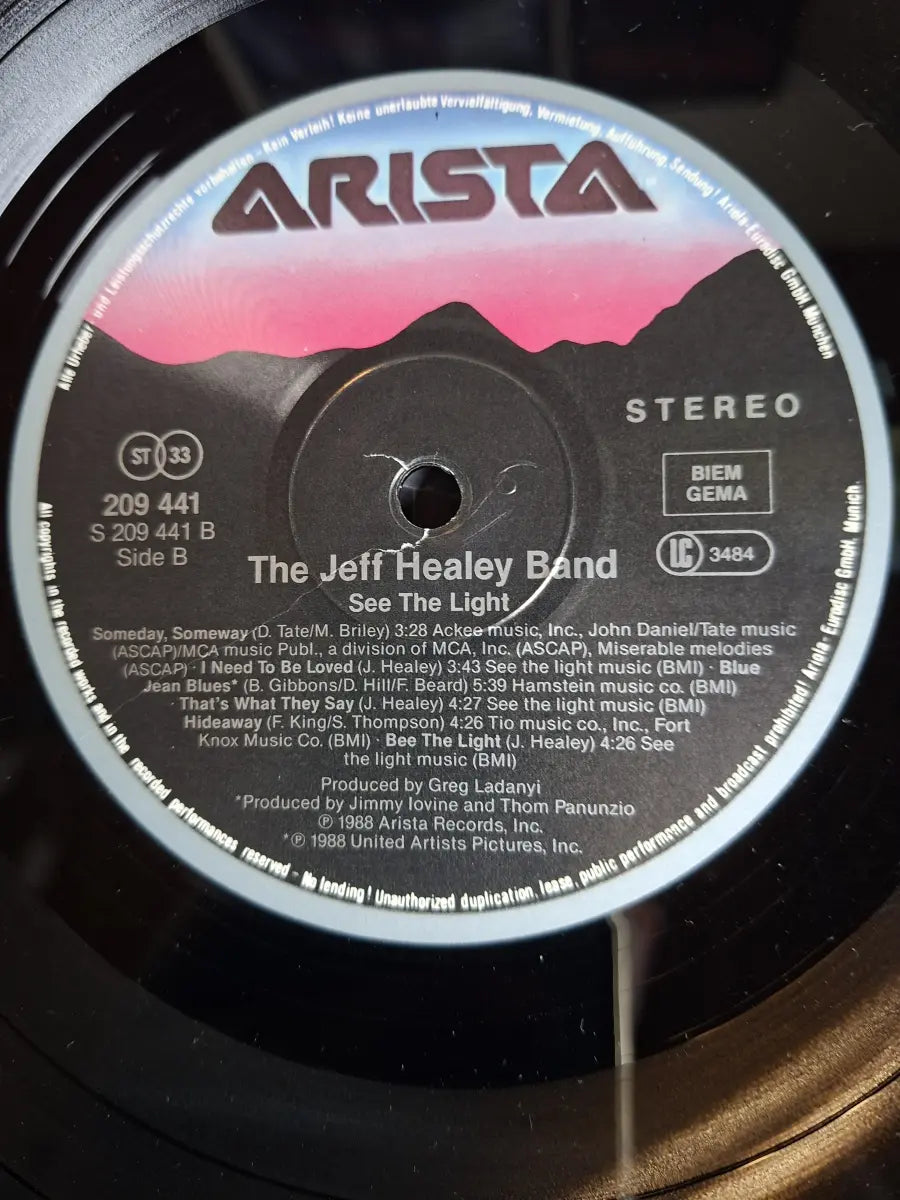 The Jeff Healey Band ‎– See The Light