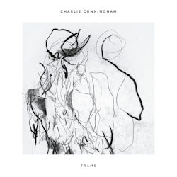 Das Bild zeigt das Album von Charlie Cunningham - Frame