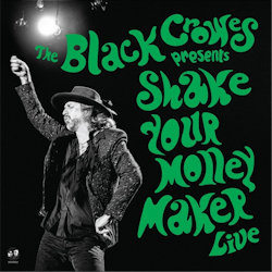 Black Crowes - Shake Your Money Maker - Live