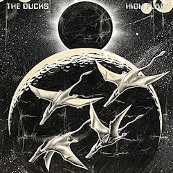 Das Bild zeigt das Album von Ducks - Flyin' High