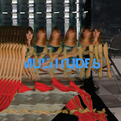 Das Bild zeigt das Album von Feist - Multitudes