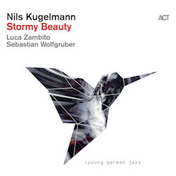 Das Bild zeigt das Albumcover von Nils Kugelmann - Storm Beauty