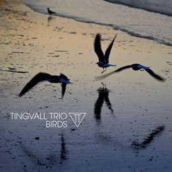 Das Bild zeigt das Albumcover von Tingvall Trio - Birds