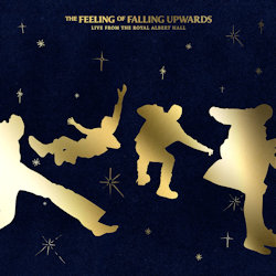 Das Bild zeigt das Albumcover von 5 Seconds Of Summer - The Feeling Of Falling Upwards