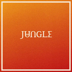Das Bild zeigt das Albumcover von Jungle - Volcano