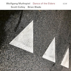 Das Bild zeigt das Albumcover von Wolfgang Muthspiel - Dance Of The Elders