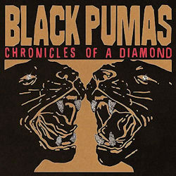 Das Bild zeigt das Albumcover von Black Pumas - Chronicles Of A Diamond