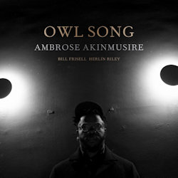 Das Bild zeigt das Albumcover von Ambrose Akinmusire - Owl Song