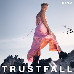 Das Bild zeigt Albumcover von Pink - Trustfall