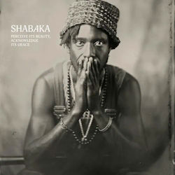 Das Bild zeigt das Albumcover von Shabaka - Perceive Its Beauty, Acknowledge Its Grace