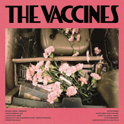 Das Bild zeigt das Albumcover von Vaccines - Pick-Up Full Of Pink Carnations