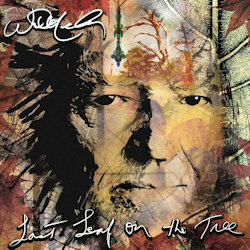 Das Bild zeigt das Albumcover von Willie Nelson - Last Leaf On The Tree