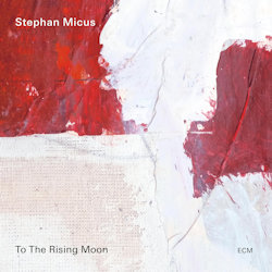 Das Bild zeigt das Albumcover von Stephan Micus - To The Rising Moon