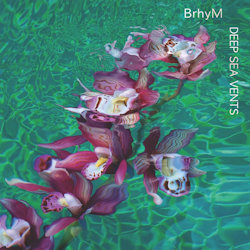 Das Bild zeigt das Albumcover von BrhyM - Deep Sea Vents