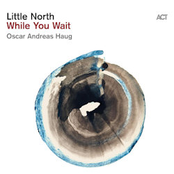 Das Bild zeigt das Albumcover von Little North - While You Wait