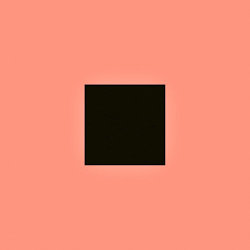 Das Bild zeigt das Albumcover von Bon Iver - Sable Fable