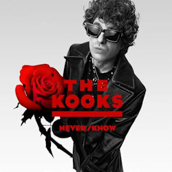 Kooks - Never-Know