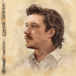 Morgan Wallen - I'm The Problem