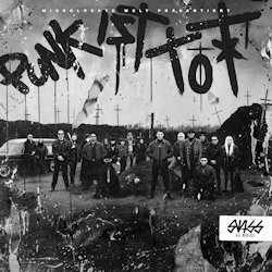Swiss und Die Andern - Punk ist tot