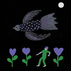 Das Bild zeigt das Albumcover von Bonnie 'Prince' Billy - The Purple Bird