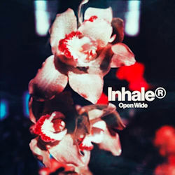 Das Bild zeigt das Albumcover von Inhaler - Open Wide